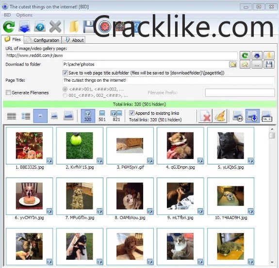 Bulk Image Downloader Key Code